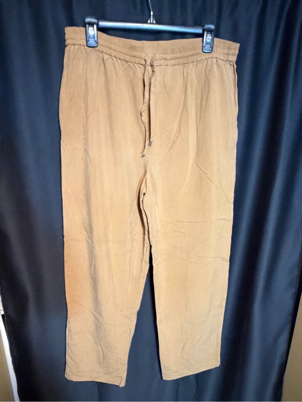 Daniel Field Relaxed Drawstring Women's size S Trousers in Tan, 100% silk